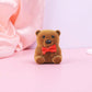Cofre Teddy